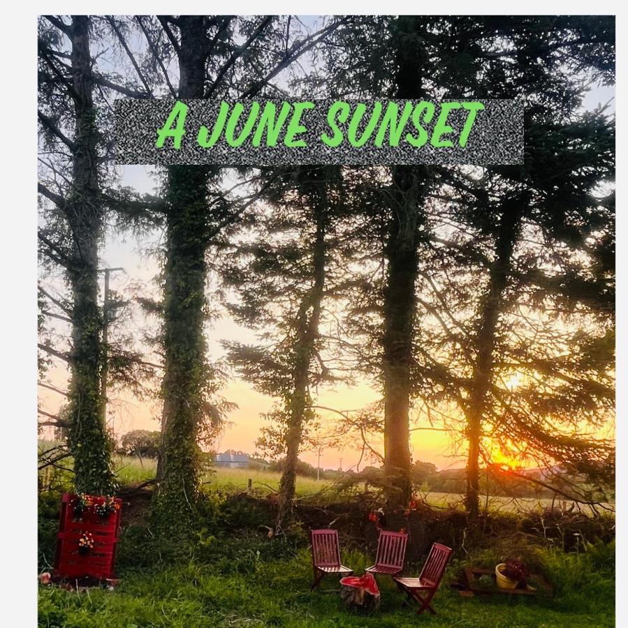 Daffodil Lodge Sligo Zewnętrze zdjęcie