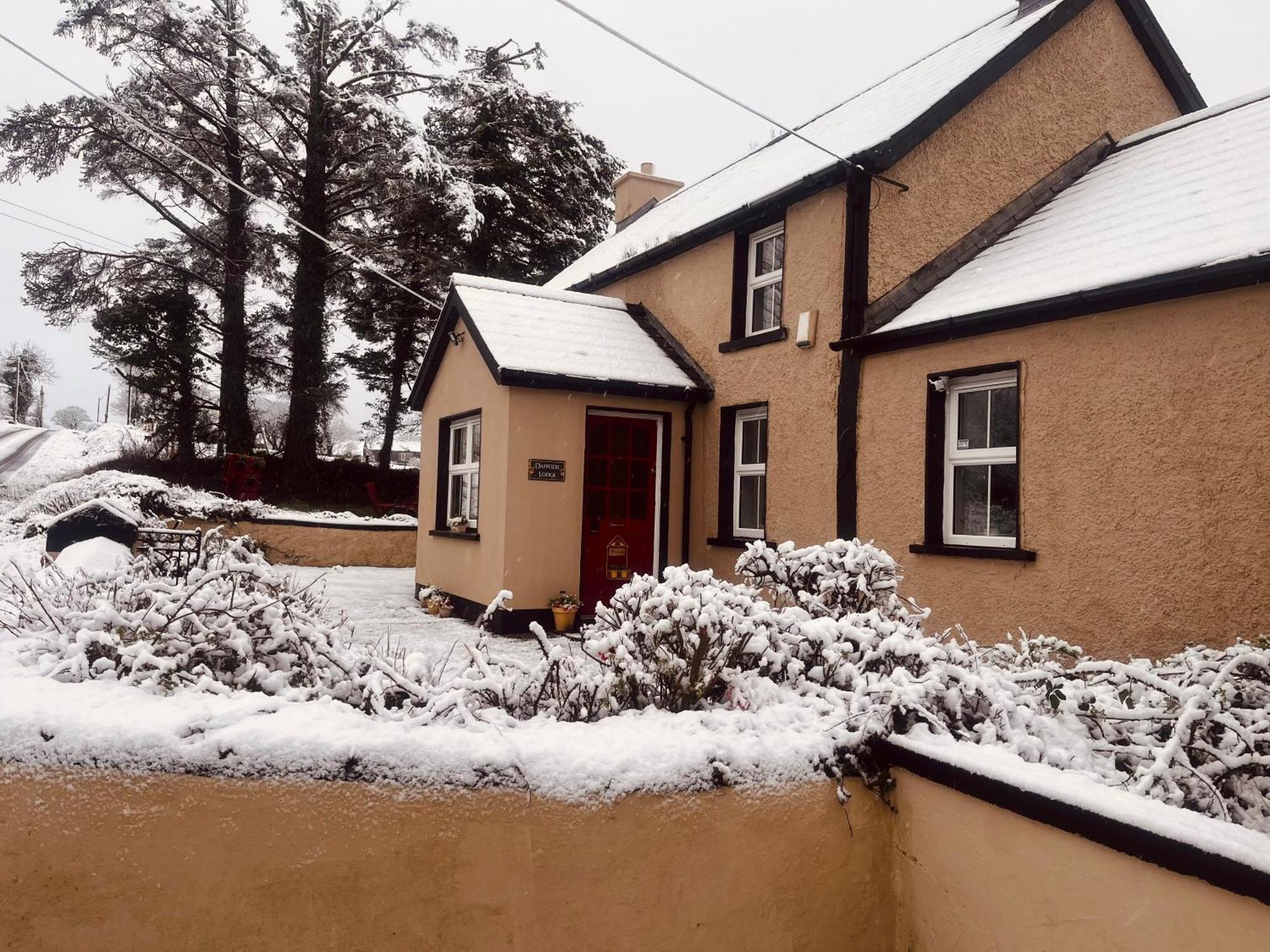 Daffodil Lodge Sligo Zewnętrze zdjęcie