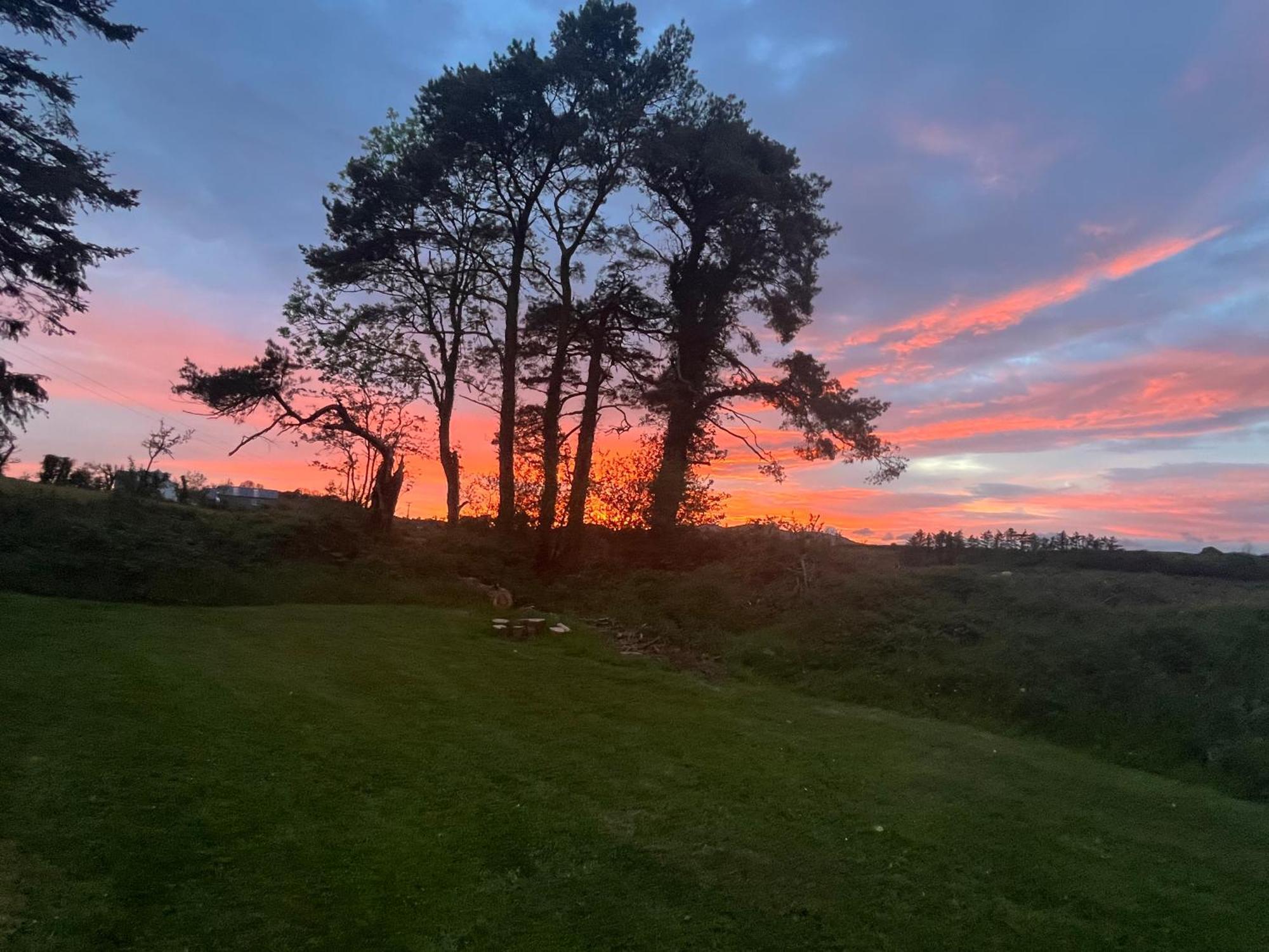 Daffodil Lodge Sligo Zewnętrze zdjęcie